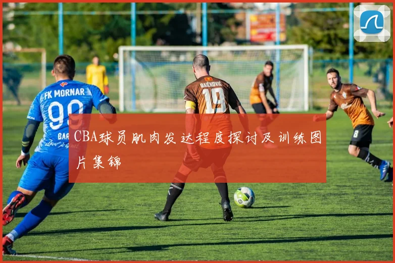 CBA球员肌肉发达程度探讨及训练图片集锦