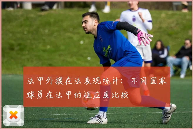 法甲外援在法表现统计：不同国家球员在法甲的适应度比较
